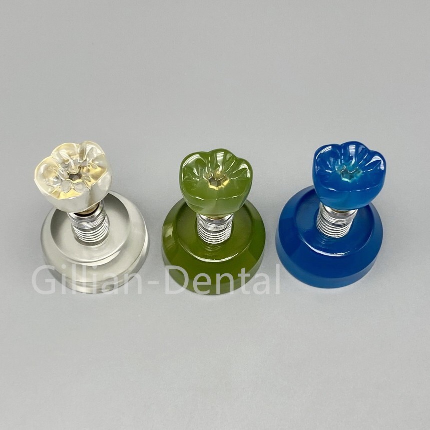 Dental Detachable Implant Abutment Study Teach Model Dentistry Teeth Teaching