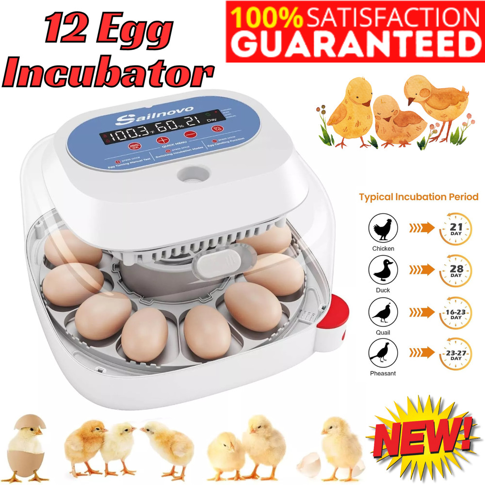 Egg Incubators for Chicken Eggs with 4 Modes and 360° View Automatic Egg Turning
