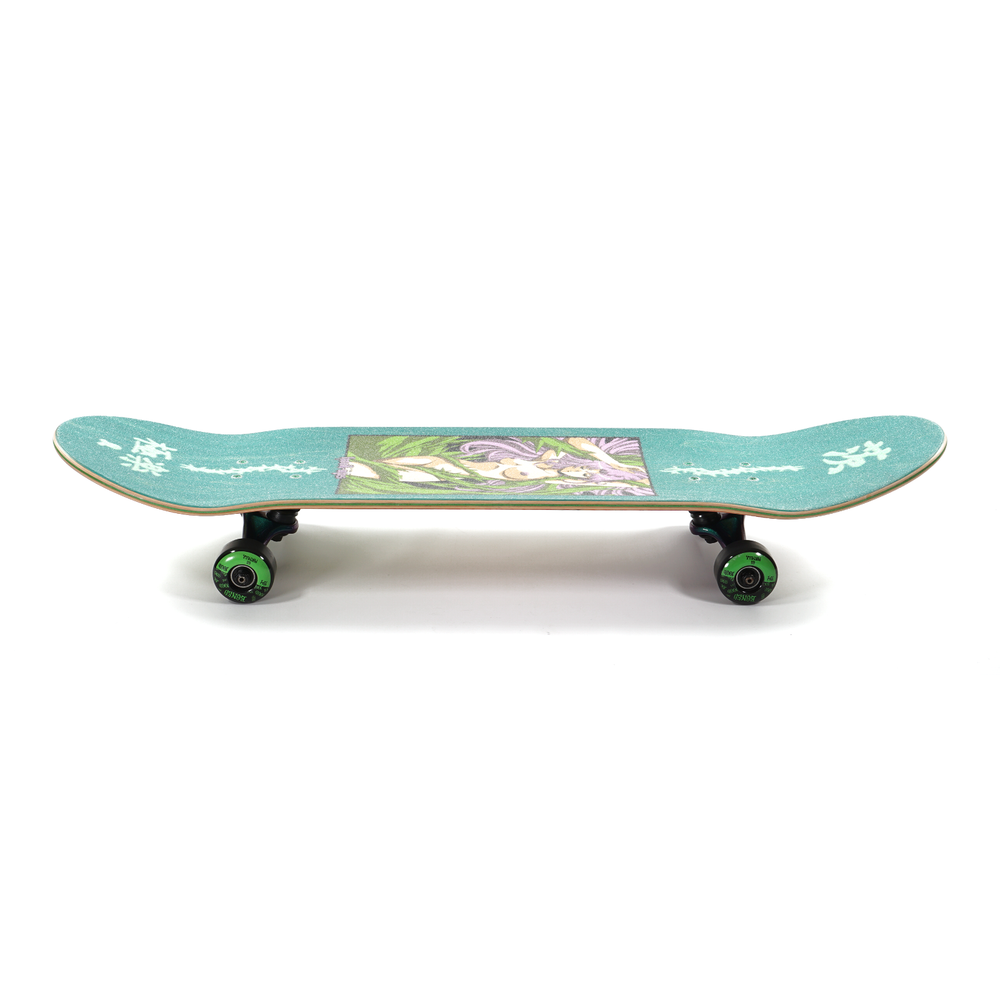 Hook-Ups Thorn Paradise 8.25" Ultimate Pro Complete Skateboard Thunder Bones