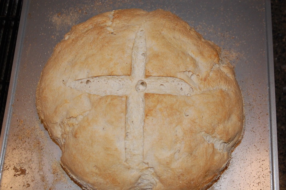 extremely sour and active sourdough starter yeast THE BEAST