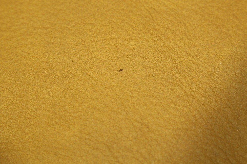 Durango Camel Leather ZA33