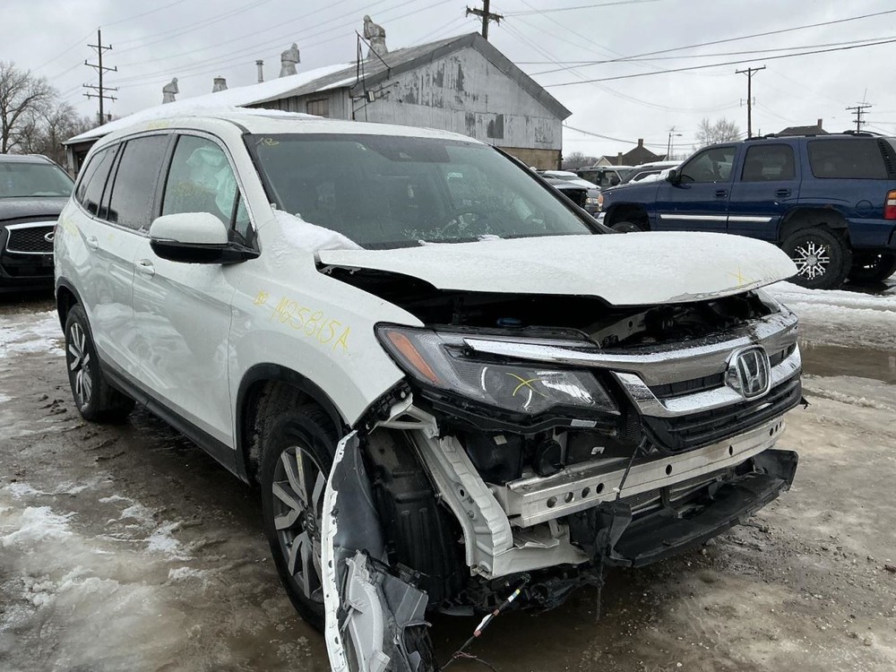 PILOT 2019 Info-GPS-TV Screen 874242