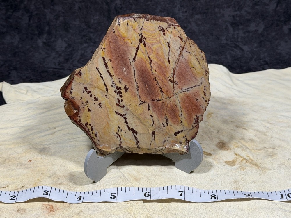 AA+ Owyhee Dendritic Slab, Lot #268