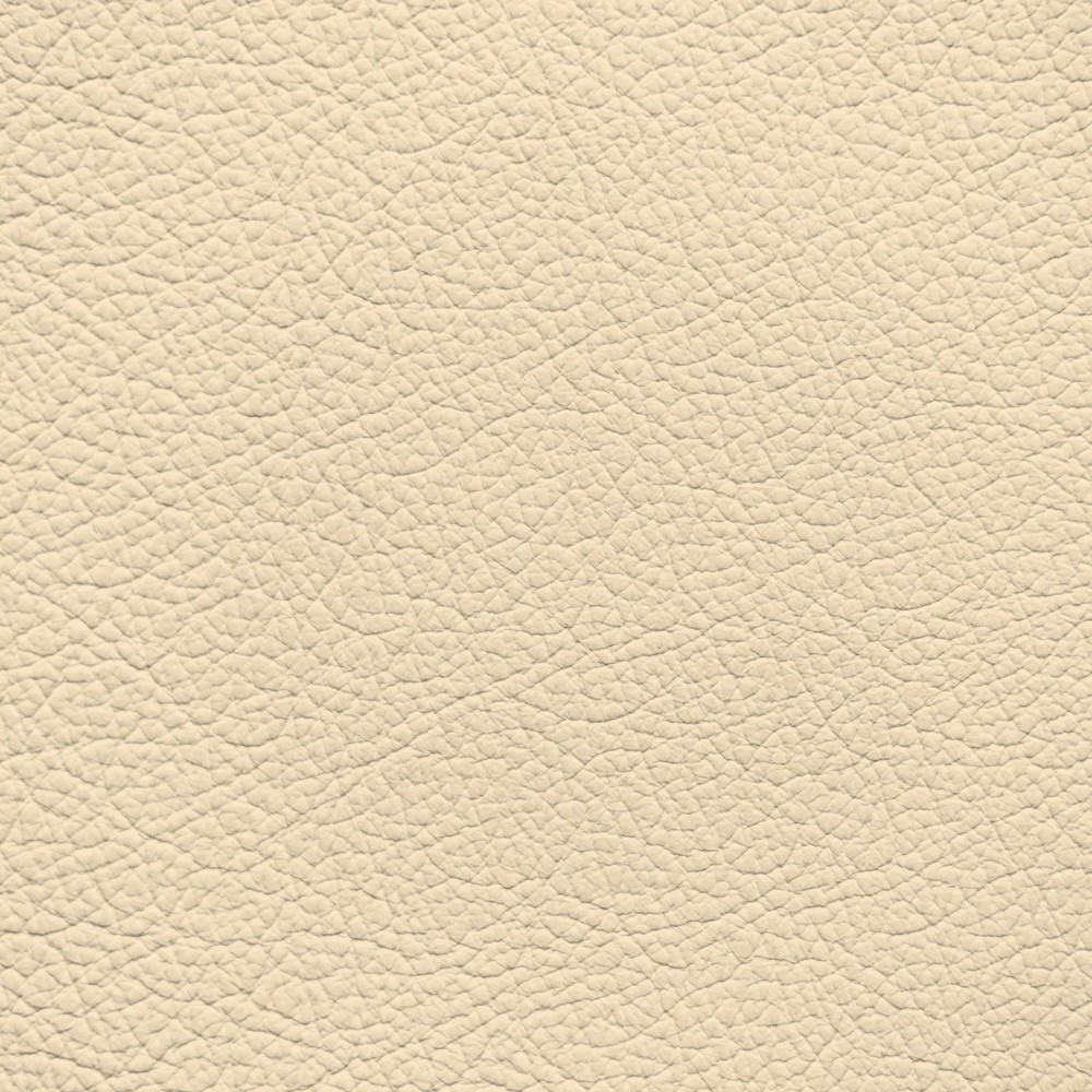 BMW Light Sand Leather Dye