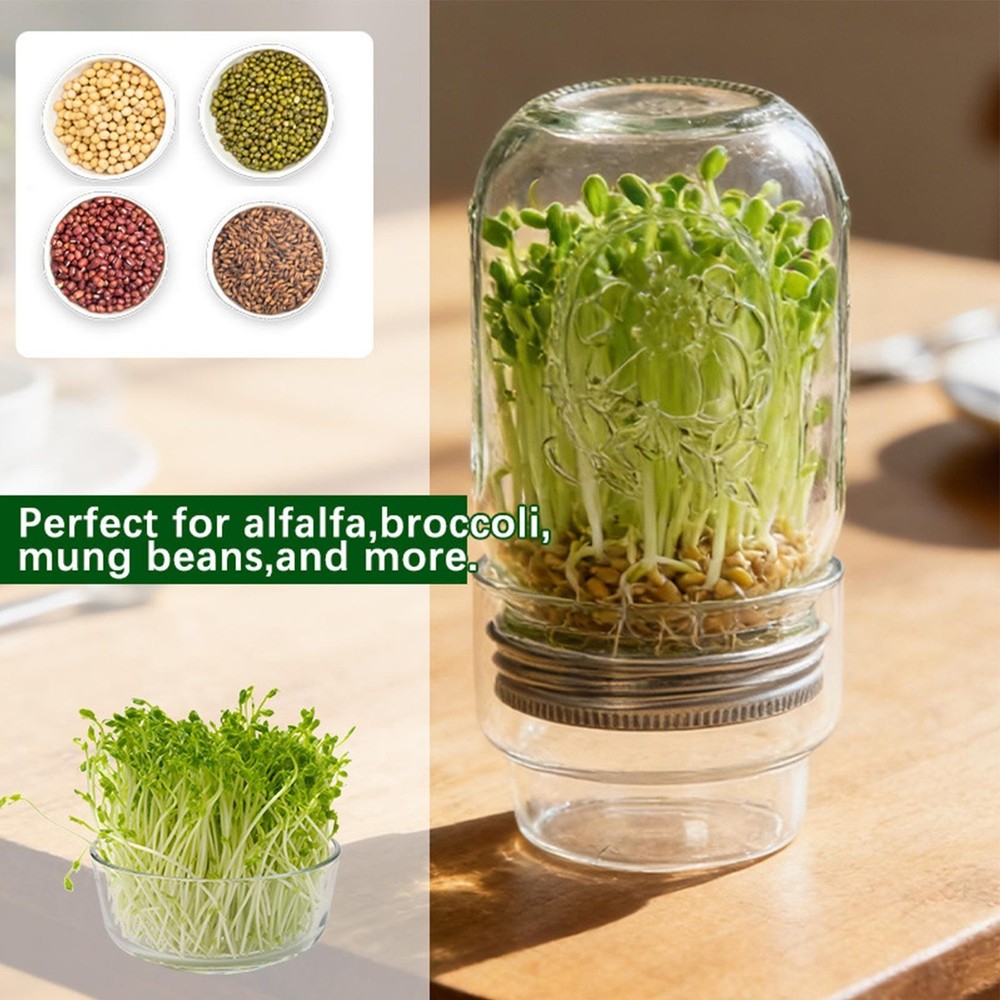 Sprouting Jar Kit Mung Bean Sprouts Growing Broccoli Sprouts Growing