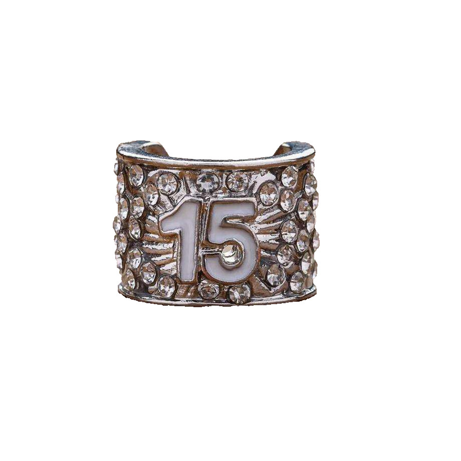 CharMED Stackable Personalize Stethoscope Bling Charm | 15 Year Milestone