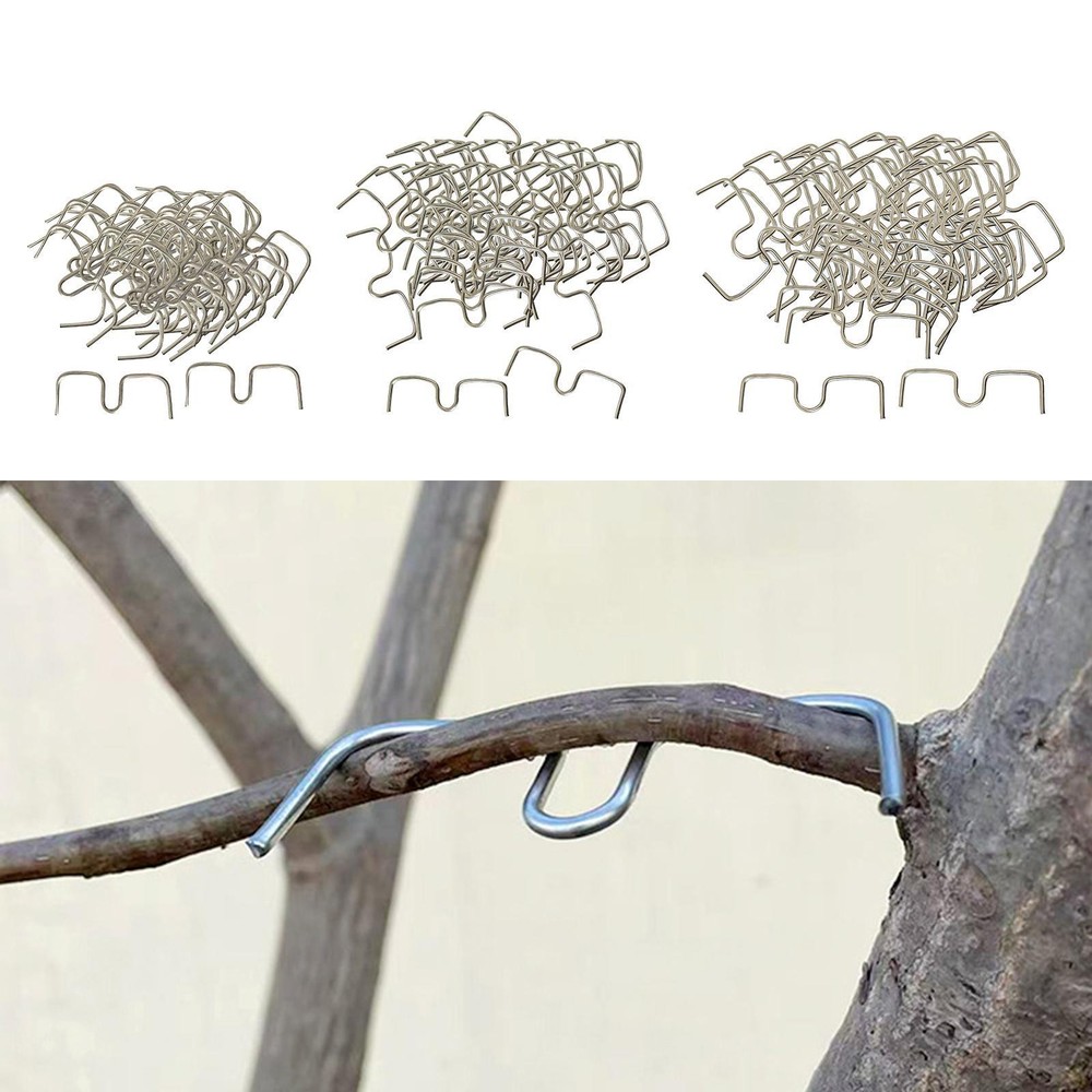50Pcs Fruit Tree Branch Pullers Branch Bending Tools for Improve Yield