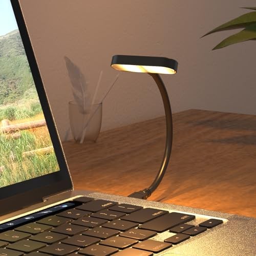 Wall Mounted Reading Light: Dimmable LED Book Lights with Timer & 1Pack Black