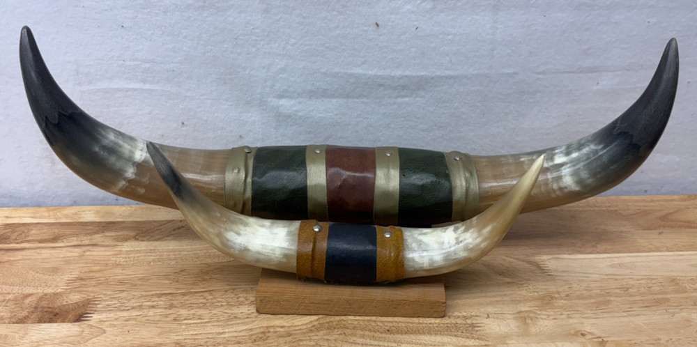 Mounted Steer Bull Horns Set