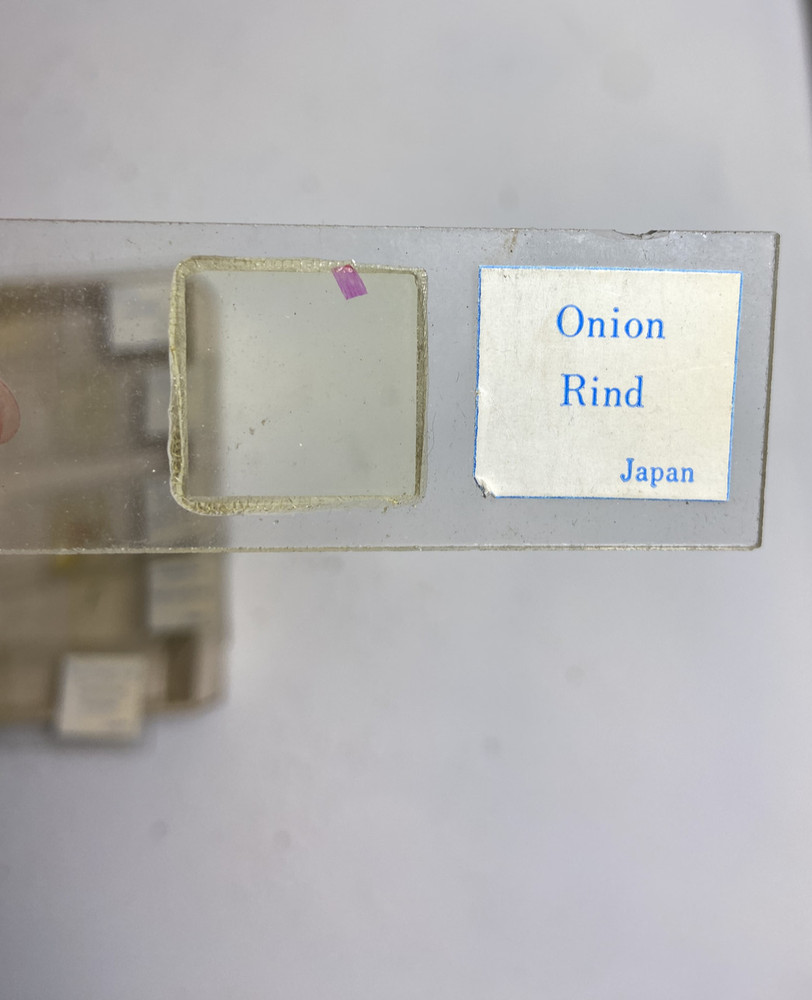 Vintage Sears Prepared Microscope Slides box - category Plants - includes 10