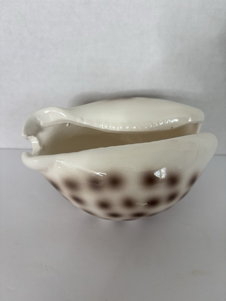 Ceramic Shell-Shaped Planter White Brown Polka Dot Glossy Pottery Decor