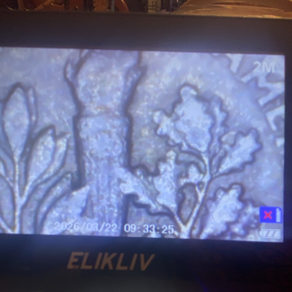 Mint mark Error , 1966 Roosevelt Dime 10C Circulated US .