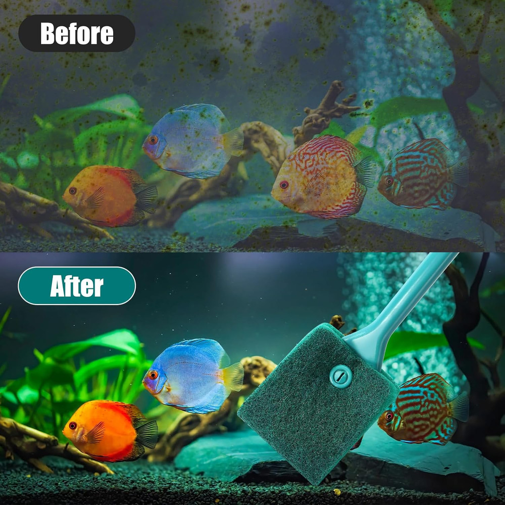Fish Tank Cleaning Tools – Double-Sided Sponge Brush & Algae Scraper with Long H