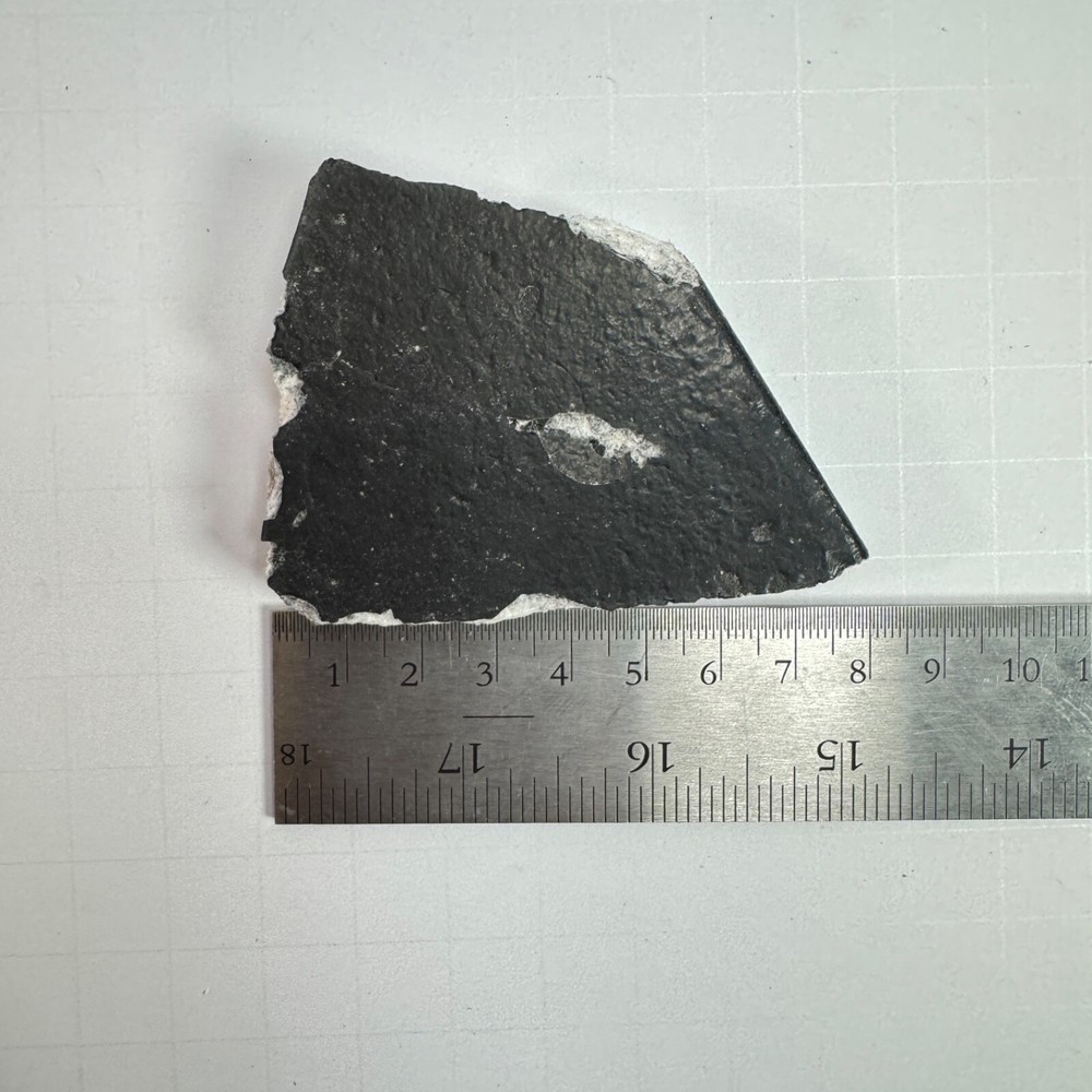 Space X Starship 34 - Recovered Heat Shield Tile - Flight 8
