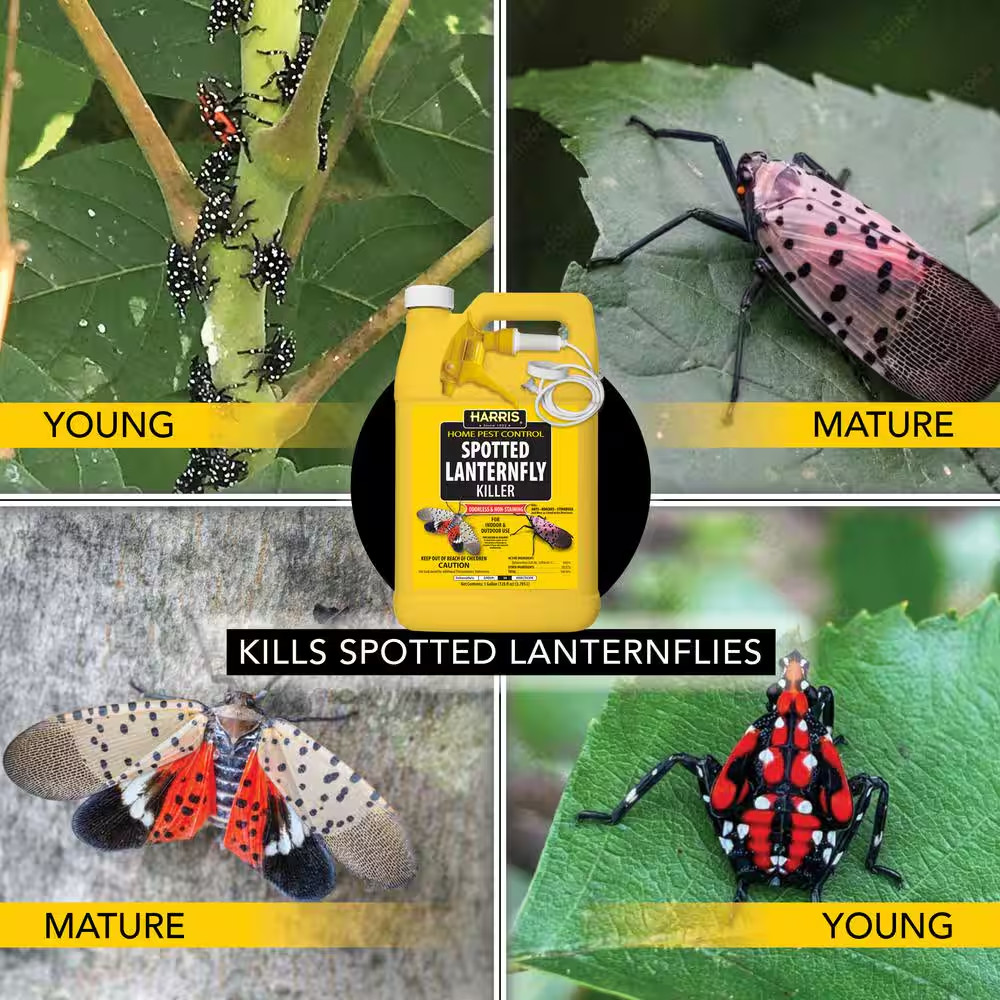 1 Gal. Spotted Lanternfly Killer (4-Pack)