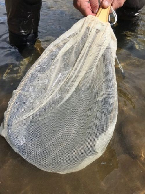 Wind River Gear Landing Net Seine