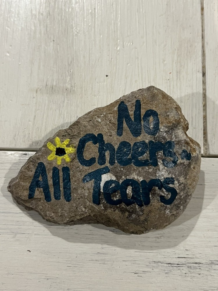 Hand painted Message Rocks