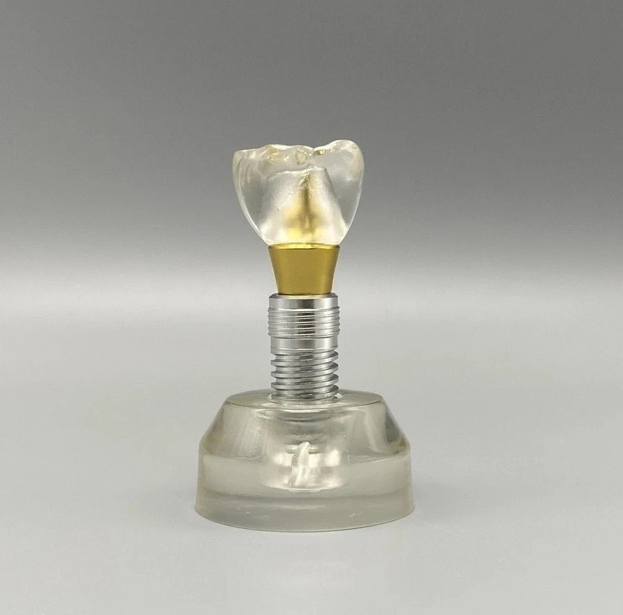 M2020 Dental Implant Model Teeth Study Teach Model Removable Clear Demonstration