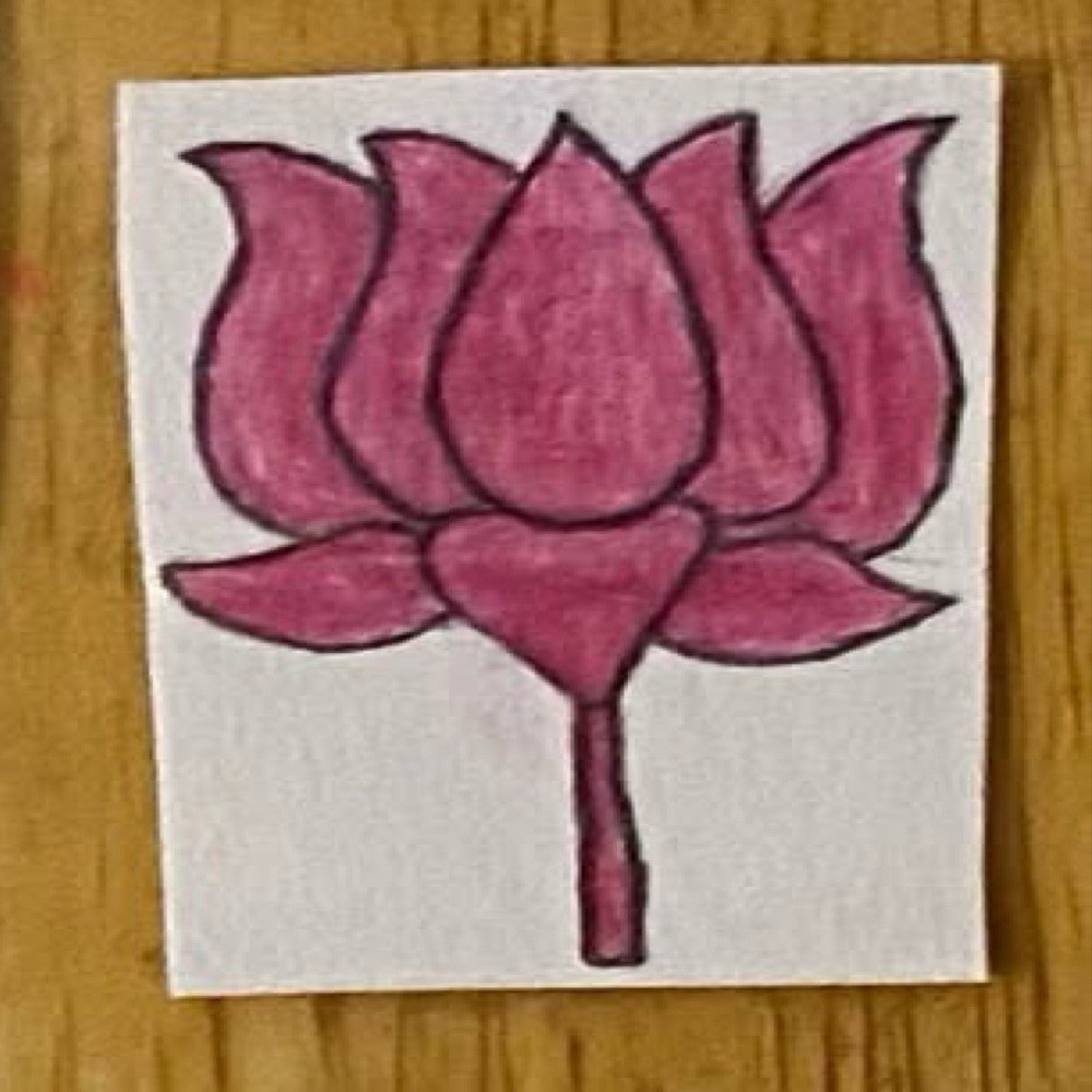 Hibiscus Flower Drawing