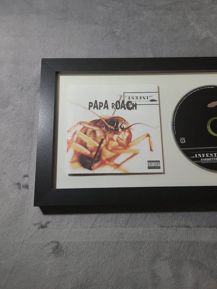 Jacoby Shaddix Signed Cd Display JSA Certified Infest 2000