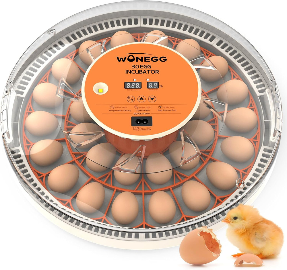 30 Egg Incubators for Hatching Eggs with Automatic Egg Turner, Auto Temperature