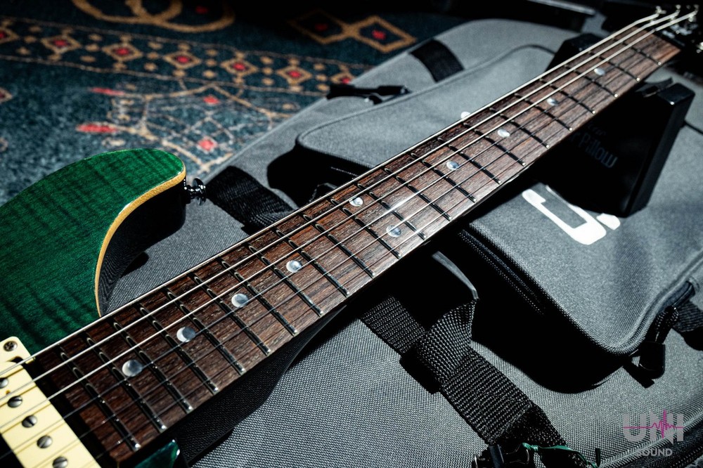 Paul Reed Smith (PRS) SE Custom / 2008 (no260422)
