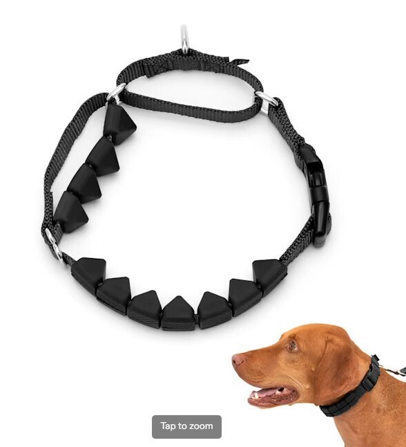PetSafe Soft Point No Pull Training Dog Collar, Medium upto 55lbs - Retails $17