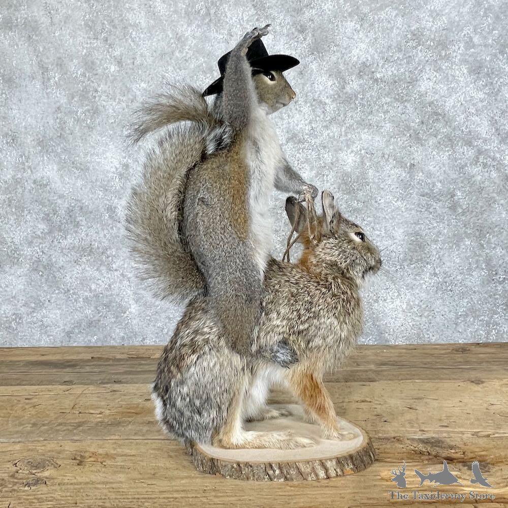 #28653 P | Novelty Grey Squirrel & Rabbit Mount For Sale