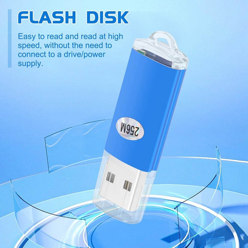 256 MB USB 2.0 Flash U disk T5J88099