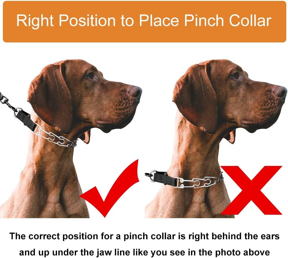 CBBPET Dog Prong Collar Adjustable Training Quick Release