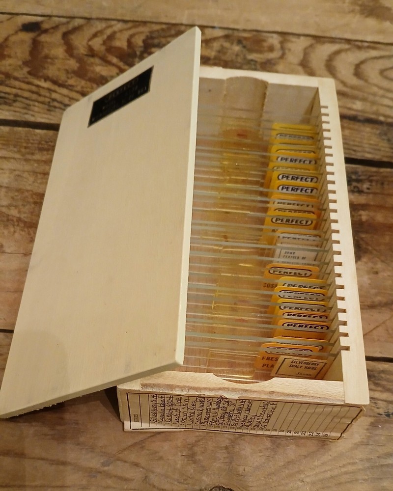 VINTAGE PERFECT MICROSCOPE MODEL 805 WITH ACCESSORIES