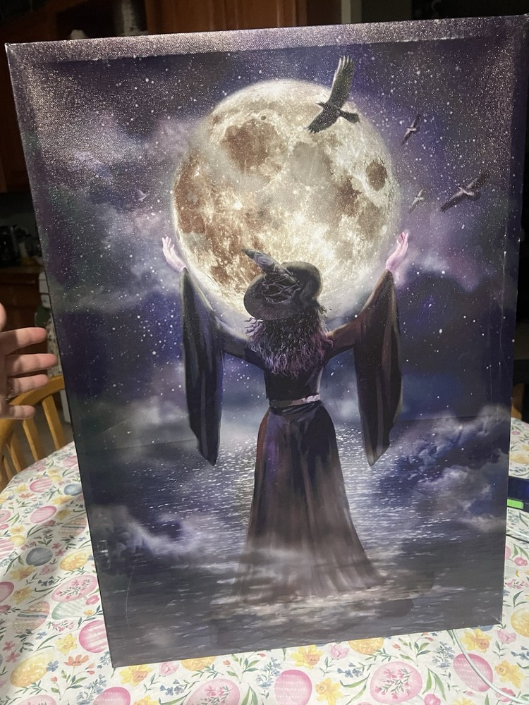 Gothic Witch Portrait In The Moon Light