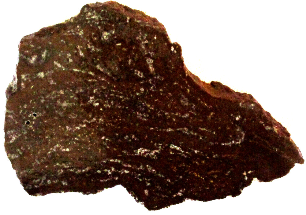 Fossilized Palm Root Slab - 135 Grams - Indonesia - Black - White