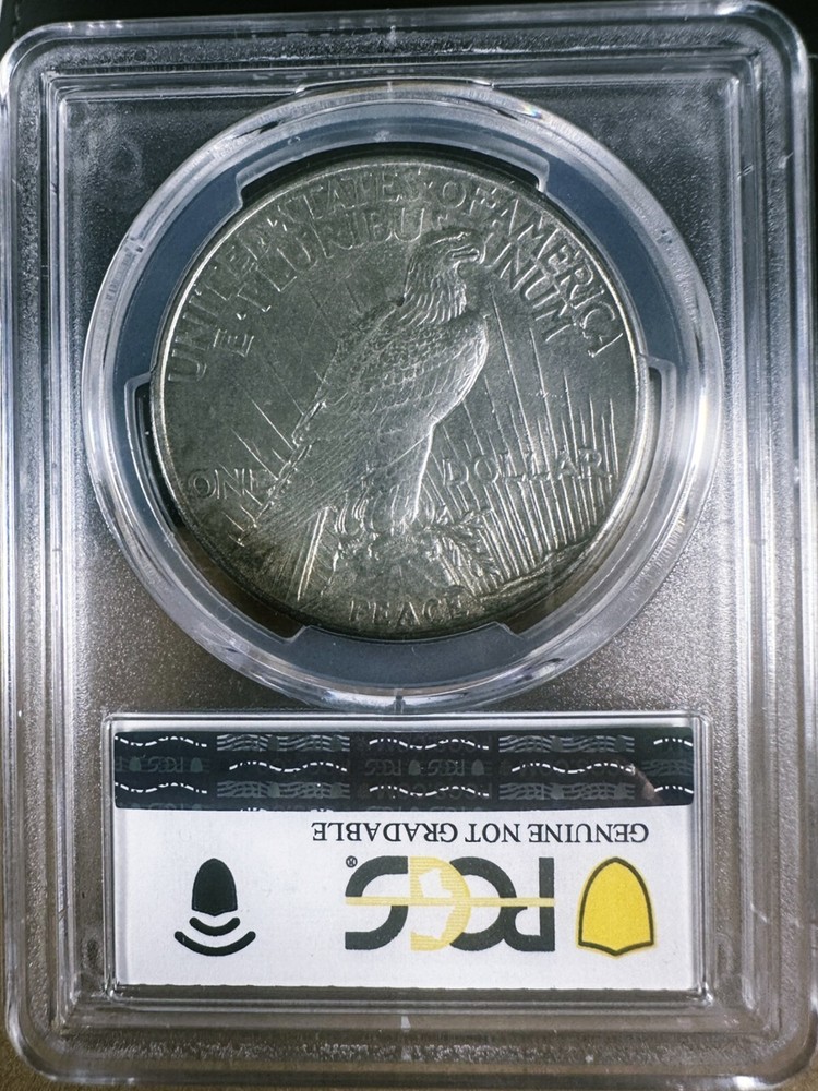 1921 peace silver dollar PCGS Scratch-UNC Details