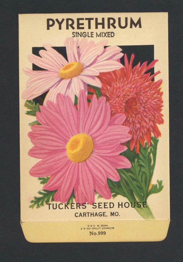 1930's TUCKERS PYRETHRUM LITHO SEED PACKET SCHMIDT LITHO. CO., S.F., CA.