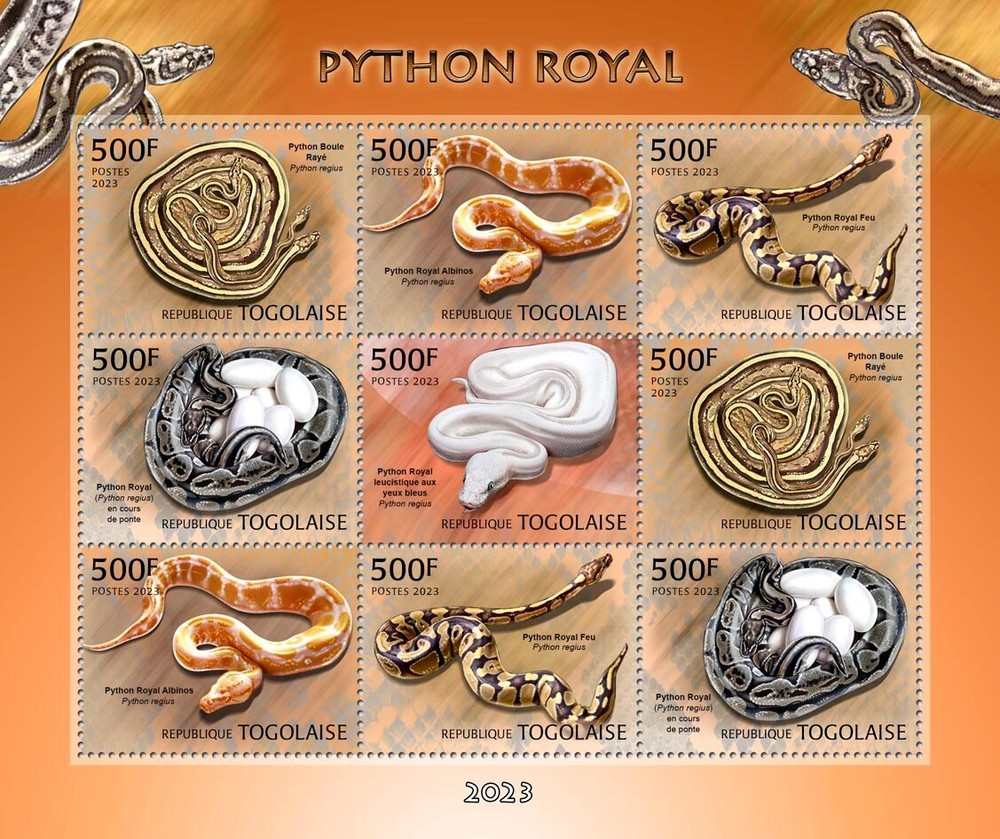 Royal Python MNH Stamps 2023 Togo M/S
