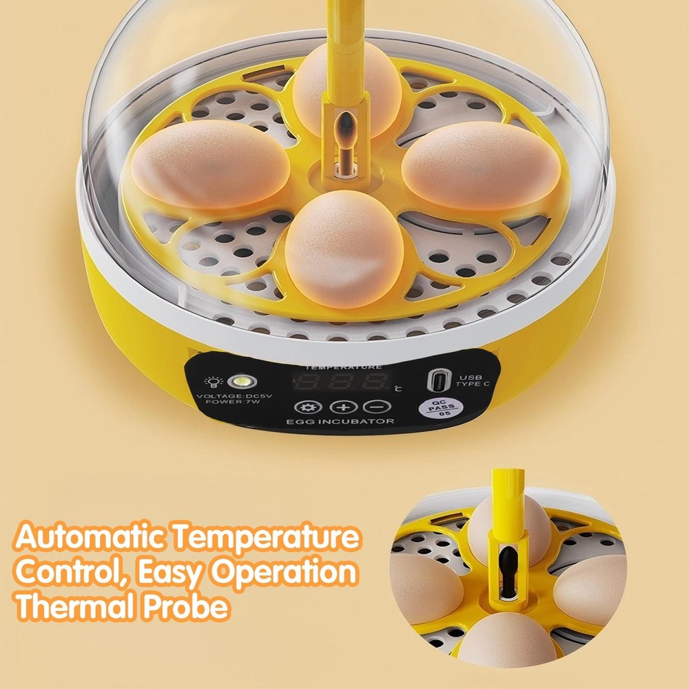 4 Eggs Mini Incubator with Transparent Lid,7W Automatic Temperature Humidity ...