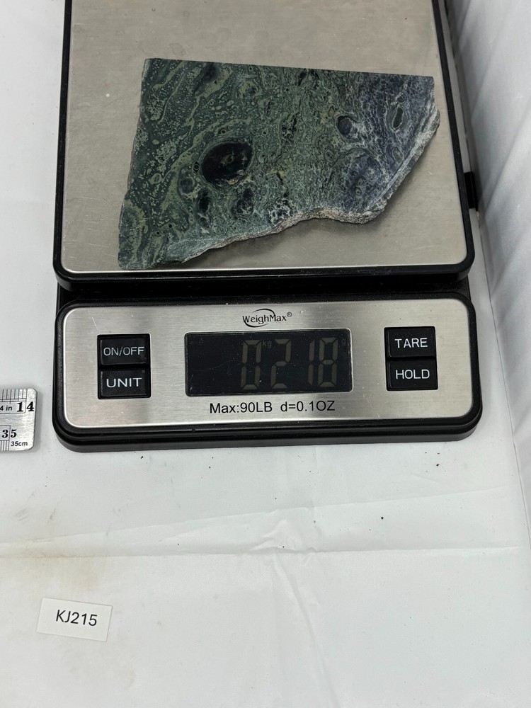 Kambaba Jasper Stromatolite Slab Lapidary Cabbing Combo Ship Avail