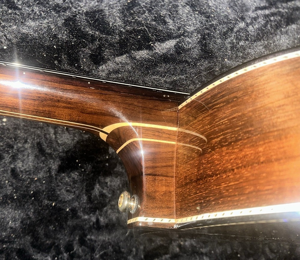 Washington Moretti 10 String Viola