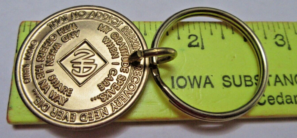 NARCOTICS ANONYMOUS NA KEY TAG 21 YEAR Keyring medallion Serenity Clean