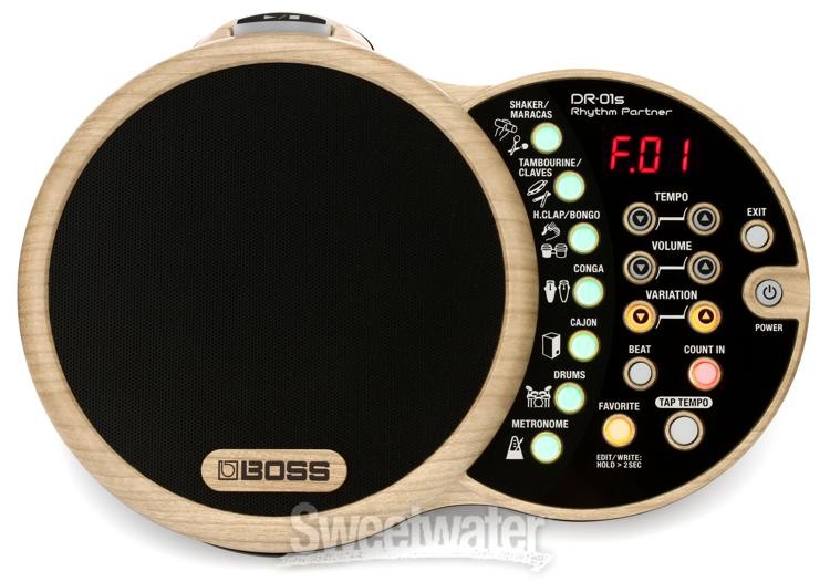 Boss DR-01S Rhythm Partner Performance Groove Machine
