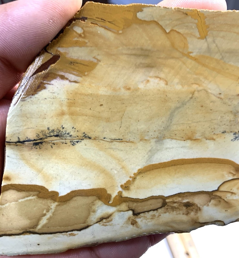 owyhee jasper slab