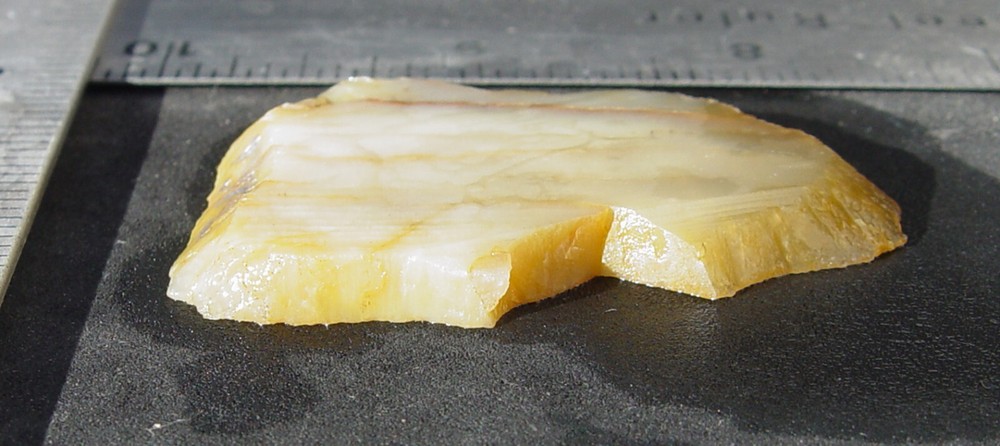Petrified Wood Lapidary Slab T972