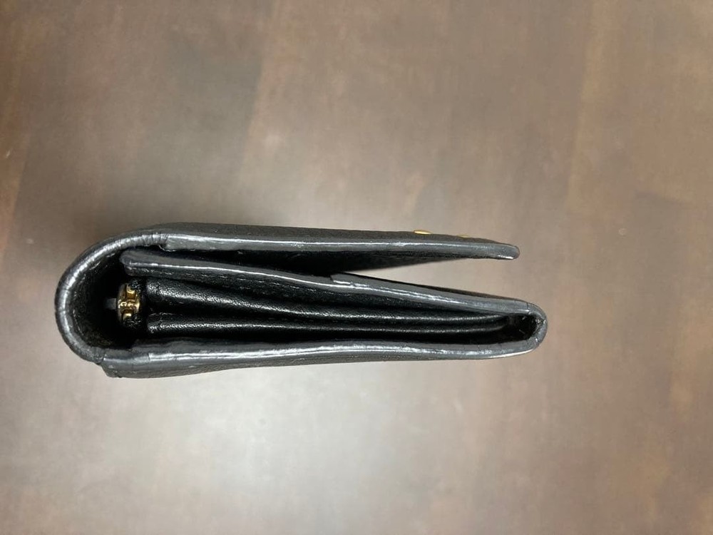 Celine Long Wallet From Japan