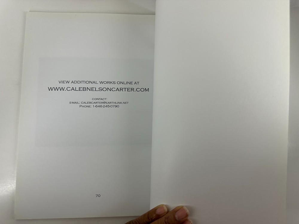 Caleb Nelson Carter Paintings 2006