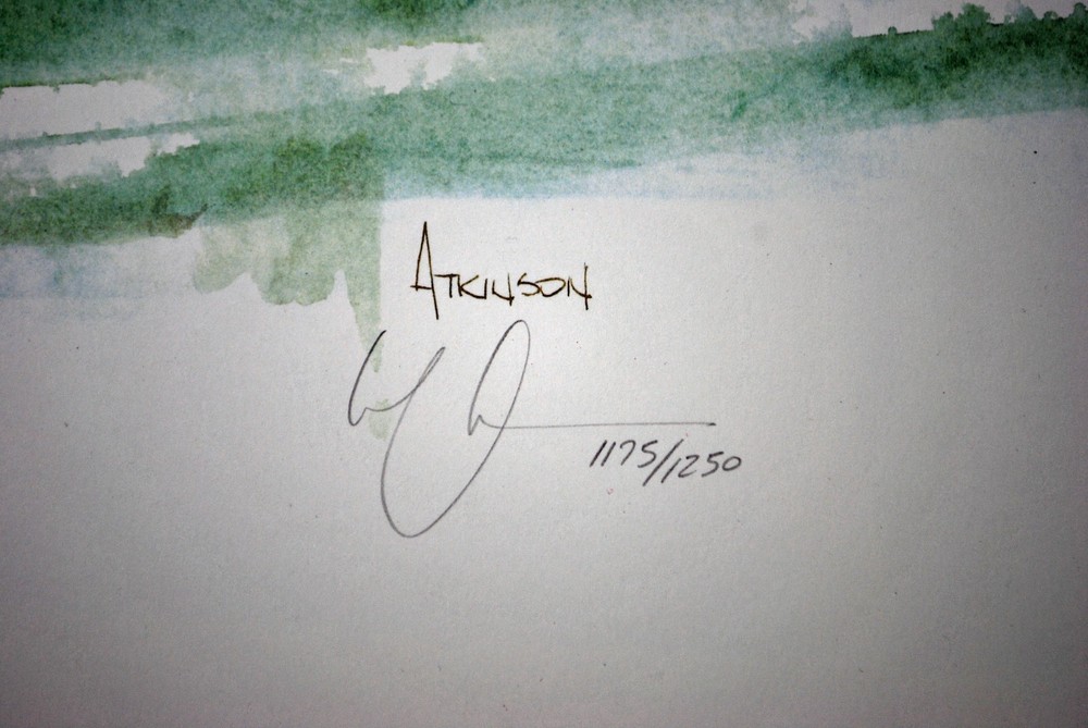 Cliff Falls by Michael Atkinson