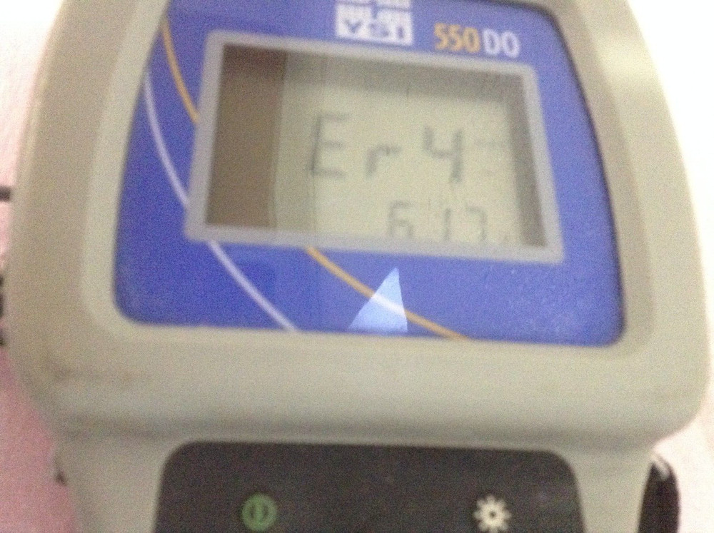 YSI, Inc. 550D0 Oxygen Meter