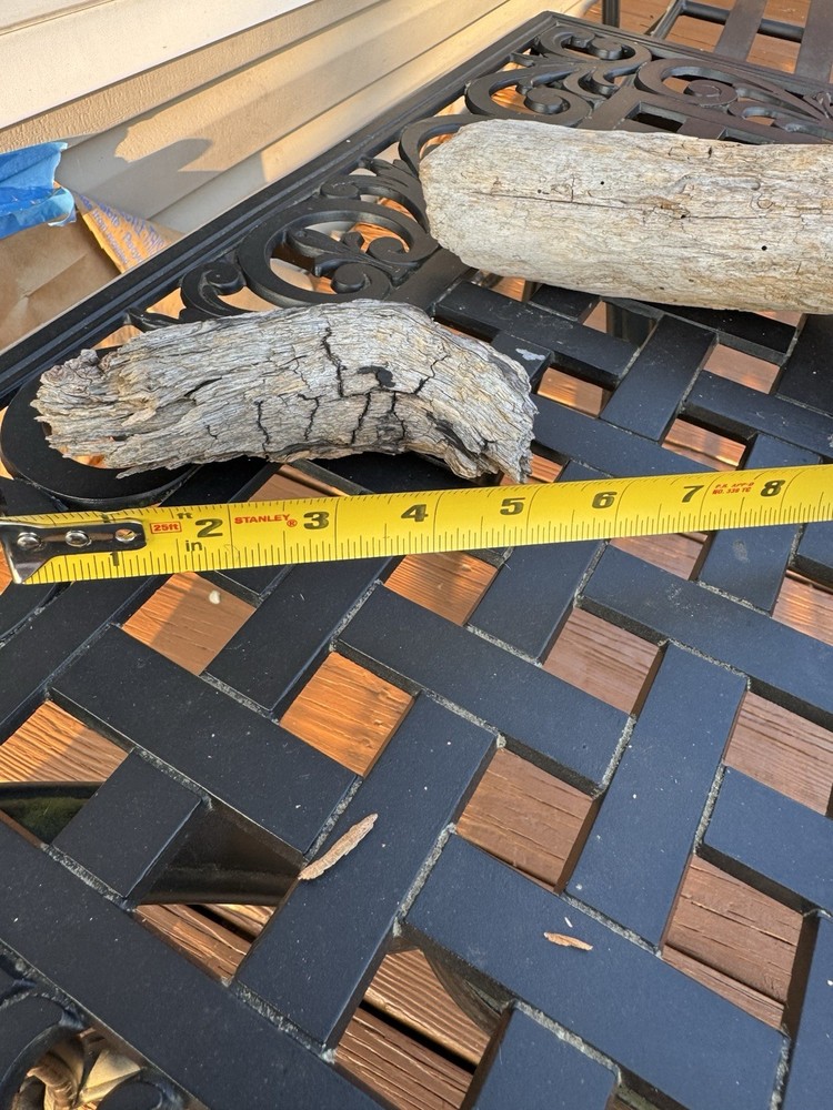 Driftwood