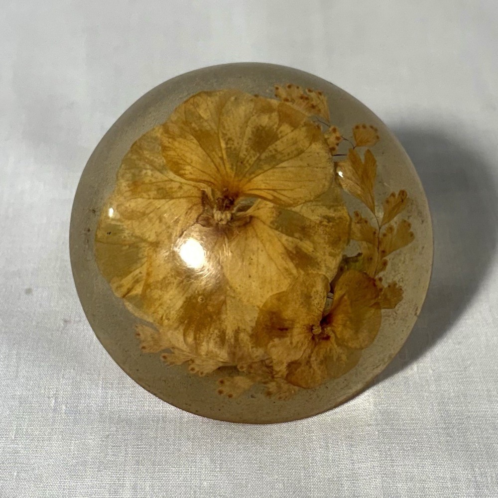 Vintage Lucite & Dried Flowers Night Light