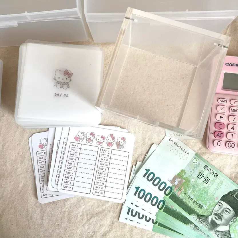 Kitty 100-Day Savings Challenge + Saving Box